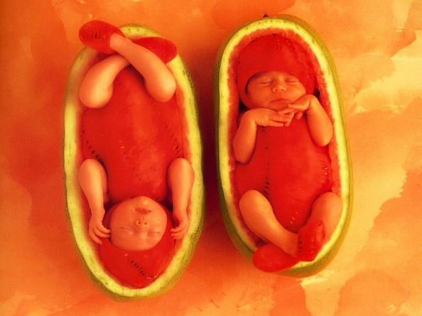 watermelon babies