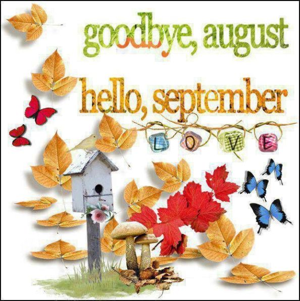 goodbye august