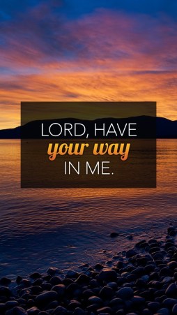 7ec4268a-3175-46c5-91bf-b64c43fc861d